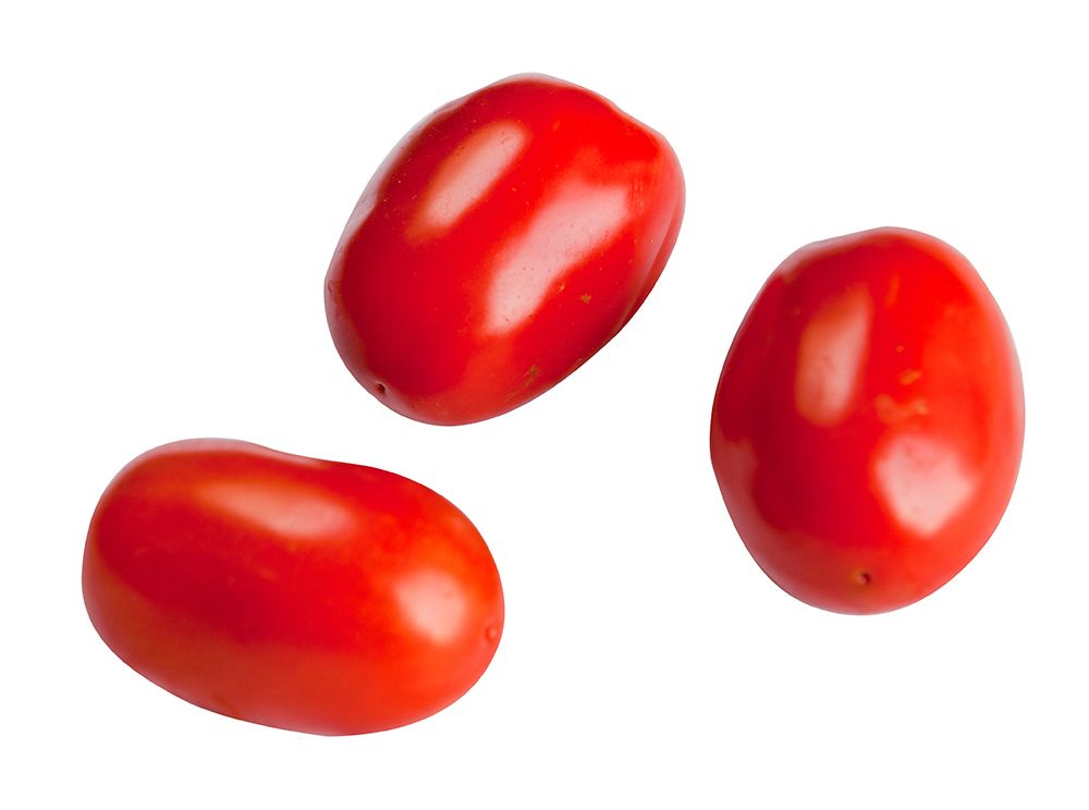 1MG_4006-Tomatoes_LR
